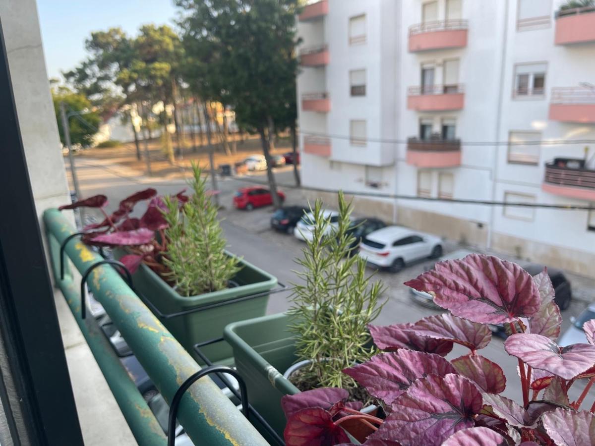 Besthomestay- Caparica Beach Lisbon Almada Exteriér fotografie